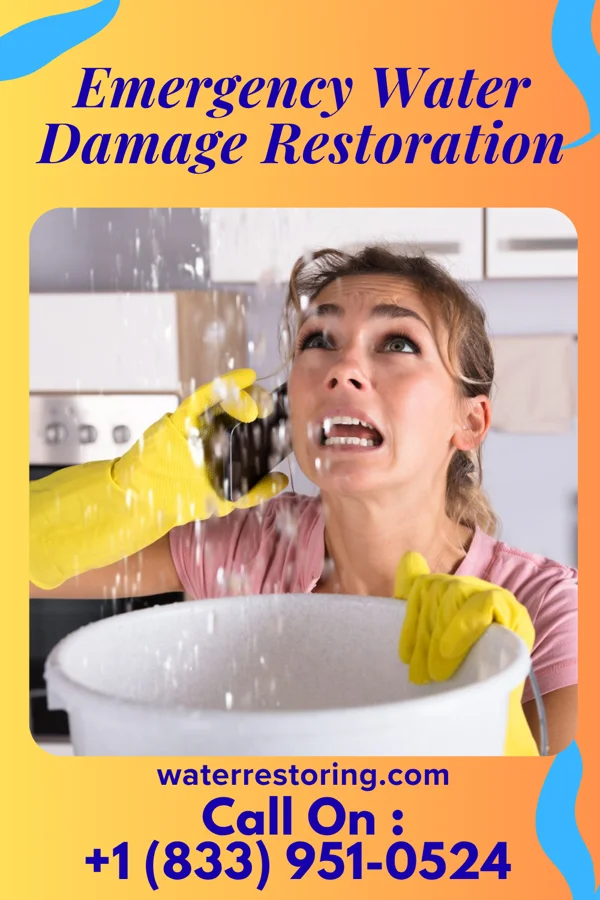 Emergency Water Damage Restoration in Provo, SD