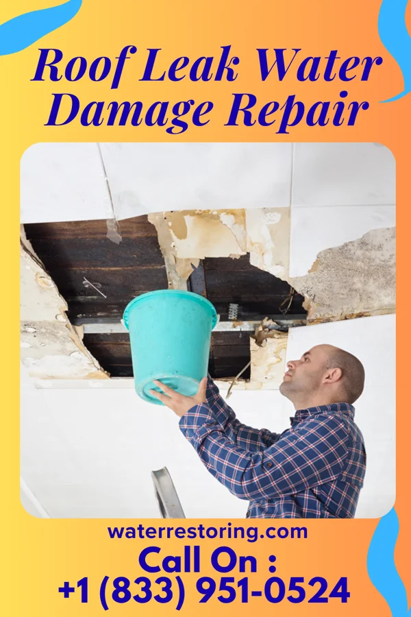 Roof Leak Water Damage Repair in Provo, SD